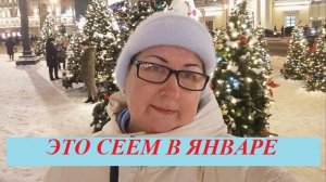 Что можно посеять в январе. Лучшие дни для посева.