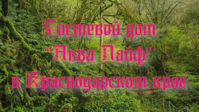 Гостевой дом «Аква Лайф» в Краснодарском крае смотреть онлайн