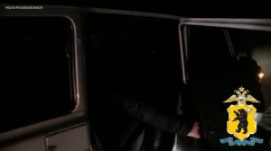 Сотрудники МВД задержали ярославцев, незаконно добывших четырех лосей