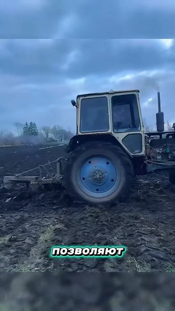 Тянянет трактор МТЗ прямиком из СССР смотреть онлайн