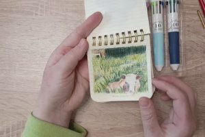 Цветные шариковые ручки от Longuo