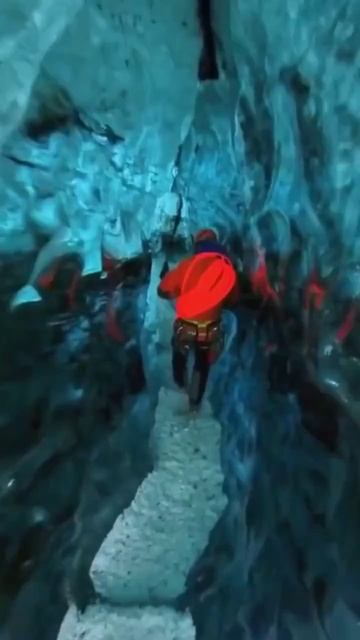 Видео от Выживание смотреть онлайн