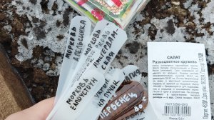 Первые посевы в теплице. Подмосковье 10.01.2026г