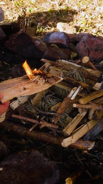 Показал отличную идею! выживание и лайфхаки смотреть онлайн