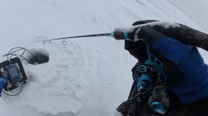 ПОСТАВИЛ ЭТУ ПРИМАНКУ И ОНА СДЕЛАЛА ВСЮ РЫБАЛКУ! Зимняя рыбалка 2025 - 2026