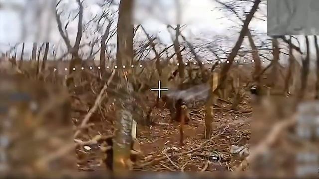 Живая сила противника. «Рубикон» продолжает атаковать пехоту ВСУ в зоне СВО смотреть онлайн