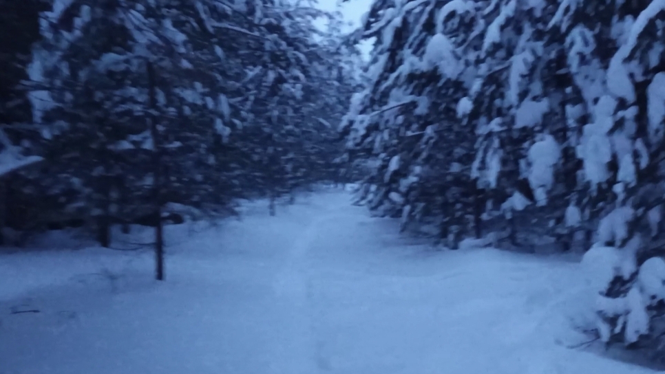 14-01-2026❄️Влог❄️среда 📖комментарии смотреть онлайн