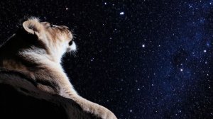 Дед_перед_смертью_рассказал_о_первой_ядерной_войне