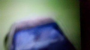 Я уезжаю от полиции в игре ВАЗ Краш.