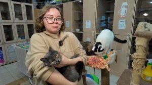 Ищу тебя, хозяин