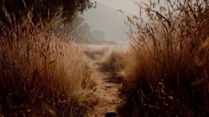 ШИРОКОЕ ШОССЕ. ВЕРС ДВА.   СОНГЛИ ГИФТ.