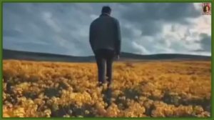 ЖИЗНЬ ПРОЖИТЬ - НЕ ПОЛЕ ПЕРЕЙТИ!!!