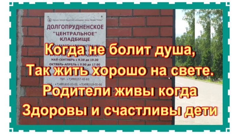 Могилы родных Наталии Андрейченко и Наталии Сенчуковой. Долгопрудненское кладбище смотреть онлайн