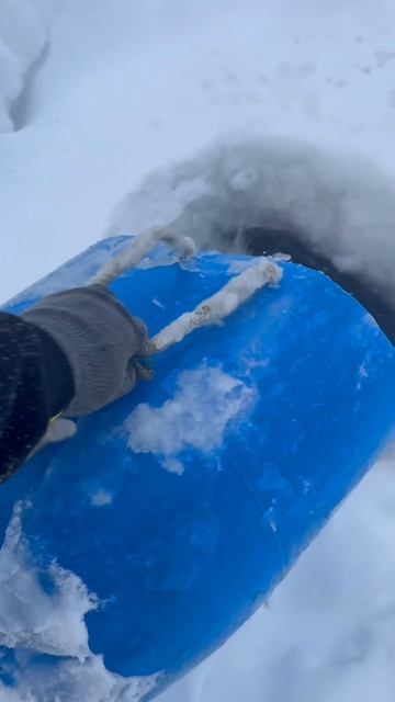 Запуск форели смотреть онлайн