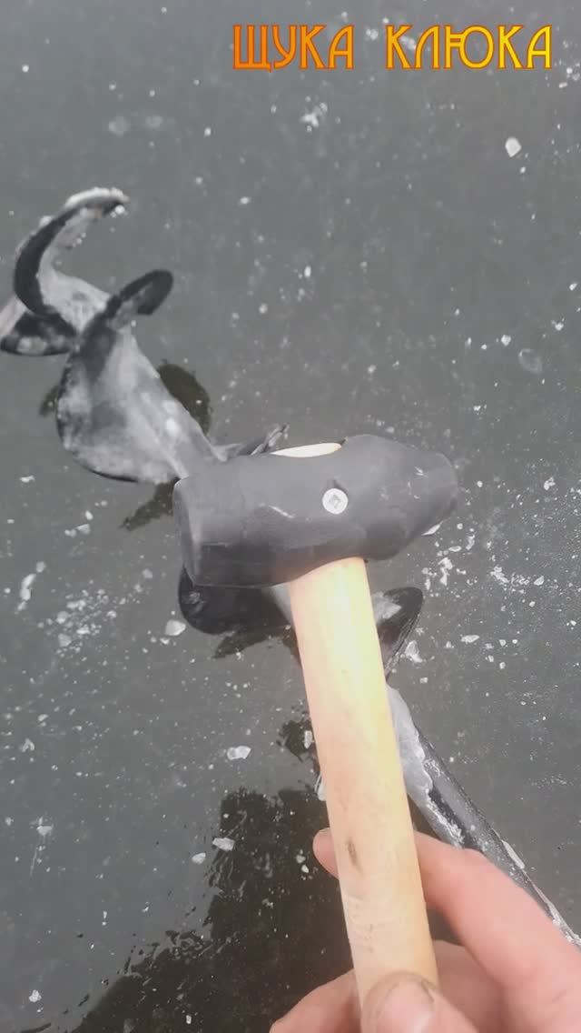 🔥 Зачем на рыбалке нужен резиновый молоток? 🔥 #рыбалка #fishing #зимняярыбалка #шортс смотреть онлайн