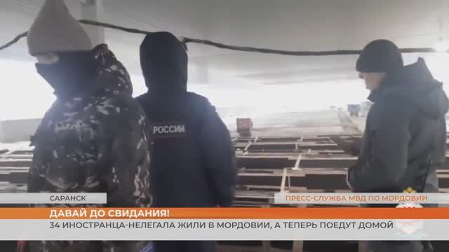 34 иностранца-нелегала жили в Мордовии, а теперь поедут домой смотреть онлайн