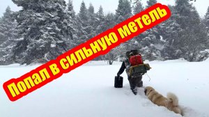 Застрял в жестокой снежной буре! - Экстремальный поход с собакой в снежных просторах!