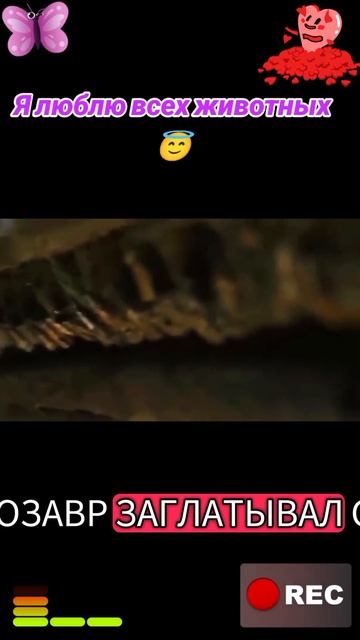 Я люблю всех животных😇 смотреть онлайн