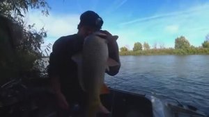 БЕШЕНЫЙ КЛЁВ САЗАНА и РАЗВЕДКА ПО ЩУКЕ. НА РЫБАЛКУ С РАЗВЕДКОЙ. День прошёл не зря !