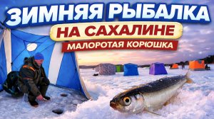 Что скрывается под льдом Сахалина?