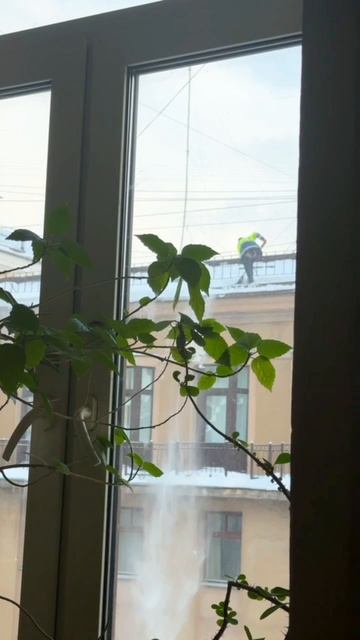 доброе утро смотреть онлайн