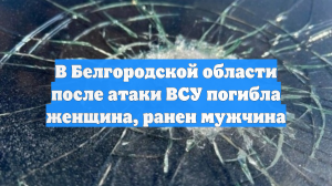 ВСУ сбросили бомбу на движущееся авто под Белгородом и убили женщину