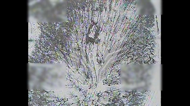 Краснолиманское направление. FPV-дроны работают по целям: поражены ББМ, системы связи, ПВД и БпЛА смотреть онлайн