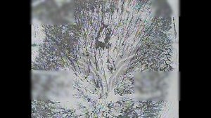 Краснолиманское направление. FPV-дроны работают по целям: поражены ББМ, системы связи, ПВД и БпЛА