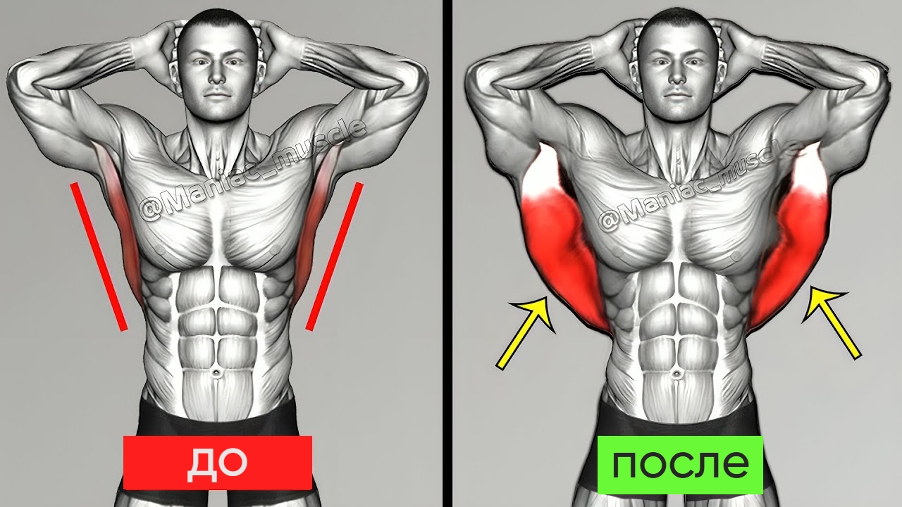 8 Лучших Упражнений Для Тренировки Больших Широчайших Мышц (ШИРОКИЕ КРЫЛЬЯ)