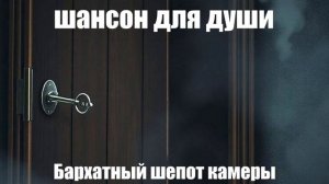 ПЕСНИ ДЛЯ ДУШИ┃ШАНСОН┃Бархатный шепот камеры