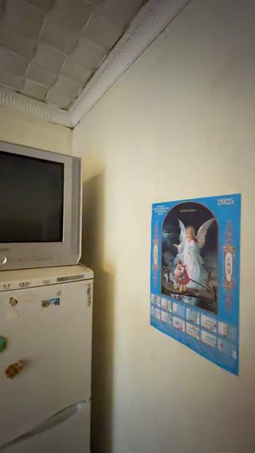 Продается комната в секционном общежитии  гор. Струнино Александровский район, Владимирская область смотреть онлайн