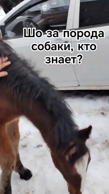 2026-01-14 смотреть онлайн