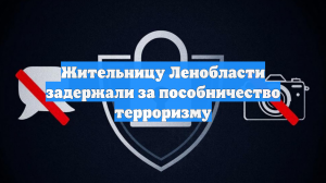 Жительницу Ленобласти задержали за пособничество терроризму