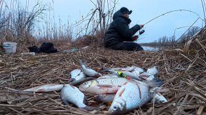РЫБАЛКА НА ПОПЛАВОК И ДОНКУ В ЯНВАРЕ. В ЭТОЙ ЯМЕ МНОГО МИРНОЙ РЫБЫ! Астрахань.
