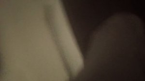 сабака🐶 атакует.