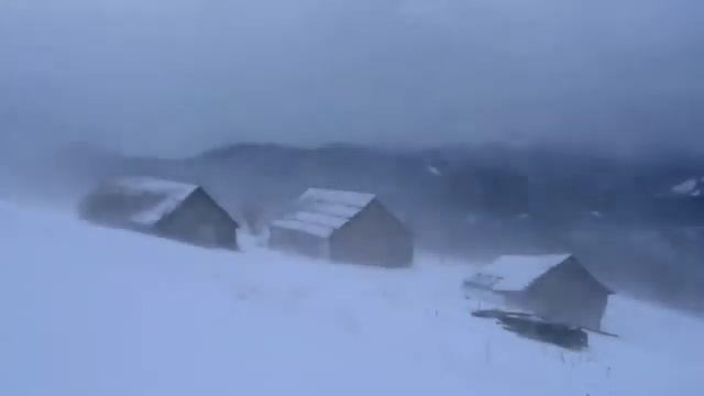 Вьюга за окном, #длясна, метель, снежный буран, вой волков смотреть онлайн