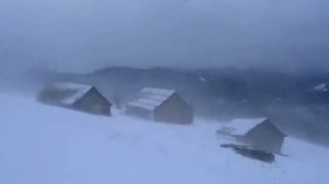 Вьюга за окном, #длясна, метель, снежный буран, вой волков