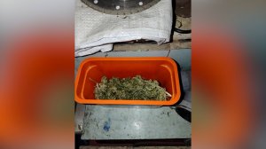 Лишили и прав, и свободы