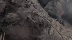 Утро доброе Друзья