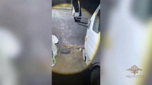 Ирина Волк: В Хабаровске полицейские задержали десятерых подозреваемых в хищении дизтоплива