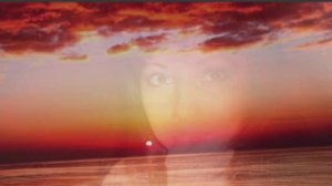 "Лебедь белая". Написала слова к песне. Бро.Хит помог с музыкой.💗