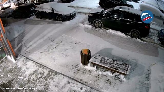 Питерский живодер привязал собаку возле подъезда и бросил на морозе смотреть онлайн