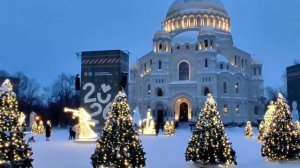 Ёлки. Кронштадт. 2026 год