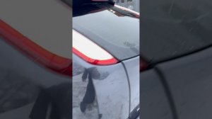 Форд фокус 2 рест. 2л. АТ