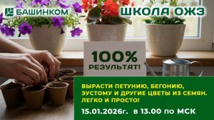 Давайте вырастим петунию, бегонию, эустому и другие цветы из семян легко и просто. Школа ОЖЗ