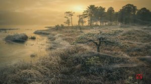 Из жития святой Феодоры