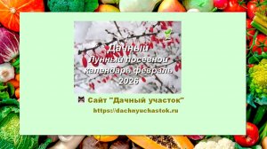 Дачный Лунный посевной календарь на февраль 2026 года для садоводов и огородников