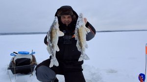 Не Первый Лёд 2025-2026