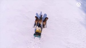 История вещей. Как изобрели санки?