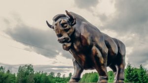 Скульптура из стеклопластика "Зубр". Карелия. Карельский зоопарк.